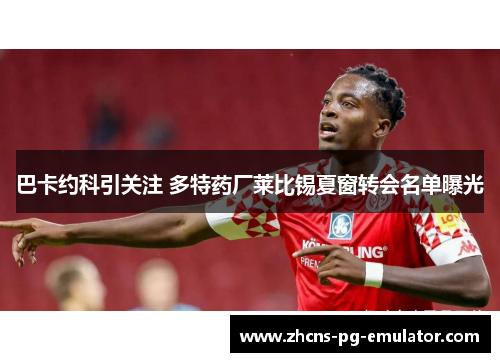 巴卡约科引关注 多特药厂莱比锡夏窗转会名单曝光 巴卡约科引关注 多特药厂莱比锡夏窗转会名单曝光