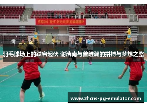羽毛球场上的跌宕起伏 谢浩南与曾维瀚的拼搏与梦想之路 羽毛球场上的跌宕起伏 谢浩南与曾维瀚的拼搏与梦想之路