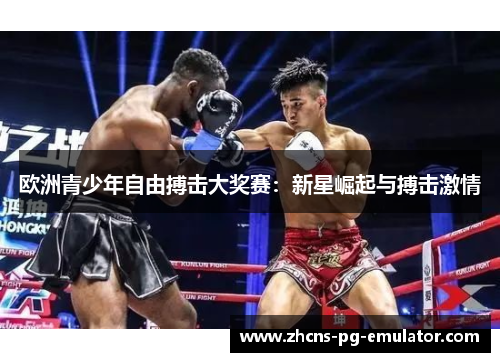 欧洲青少年自由搏击大奖赛：新星崛起与搏击激情