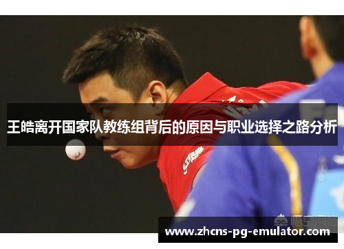 王皓离开国家队教练组背后的原因与职业选择之路分析