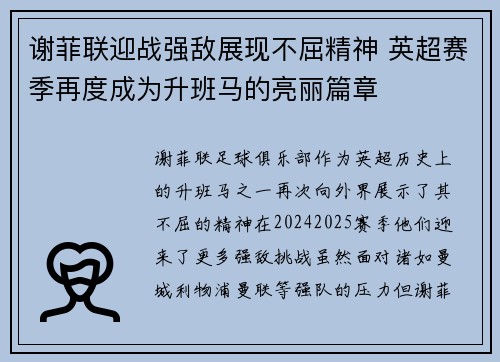 谢菲联迎战强敌展现不屈精神 英超赛季再度成为升班马的亮丽篇章