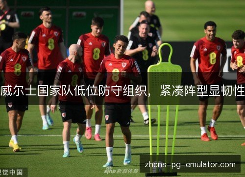 威尔士国家队低位防守组织，紧凑阵型显韧性